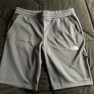 Mens north face shorts